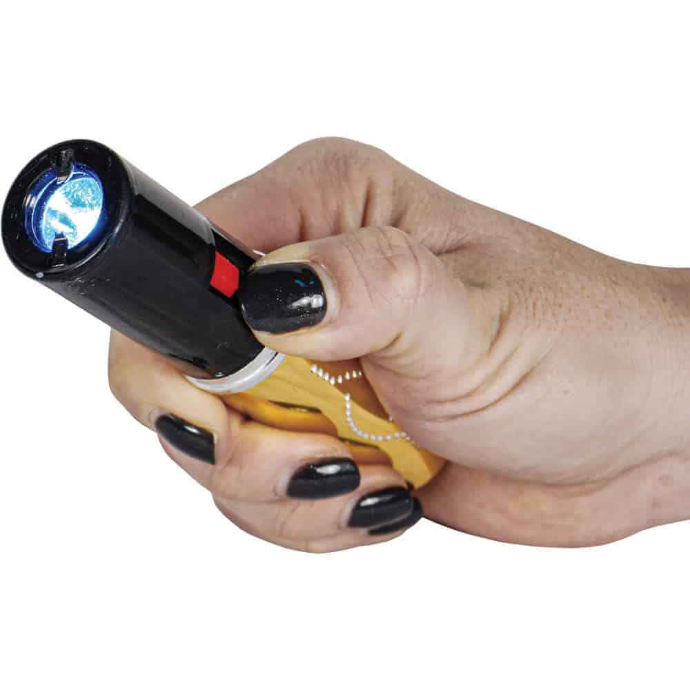 Disguised Stun Guns - Revere Security
